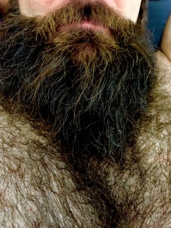 sydneyweirdbeard: Furry perfection  That’s amazing