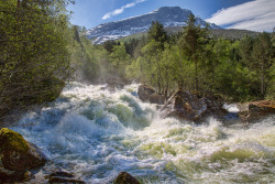 photosofnorwaycom:  White water by Ole Erik Loe River Grøa,