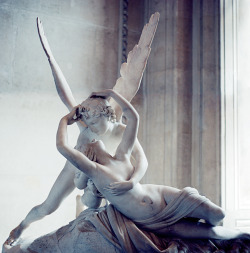 lei-che:  aritakesphotos:  amore e psiche, louvre paris, spring