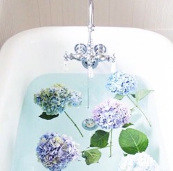 Detox Baths