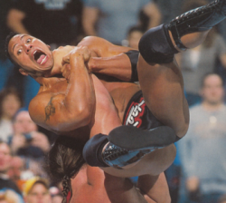 pickyofaceup:  The Rock. Bottomed! 