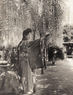 thekimonogallery:Young woman in furisode touching wisteria blossoms.