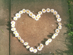 ❀MAR DOCE LAR❀