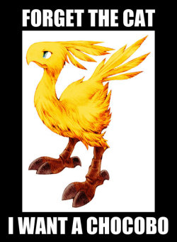 Chocobo MEME- Wats more CUTE then Ah chocobo?!?! by Kravon1