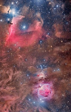    M42 and IC434 in Wide Field by Roberto Colombari and Federico