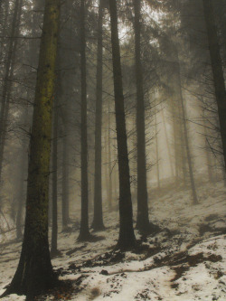 englishsnow:  by Phil Hather