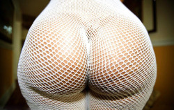 chollybasoline:  remo3584:  Gorgeous  Caught in a net.