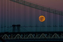 simplymyview:  Supermoon Rising Standing on the Brooklyn Bridge