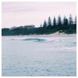 Swimming with the dolphins this morning 