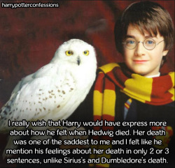 harrypotterconfessions:  I really wish that Harry would have