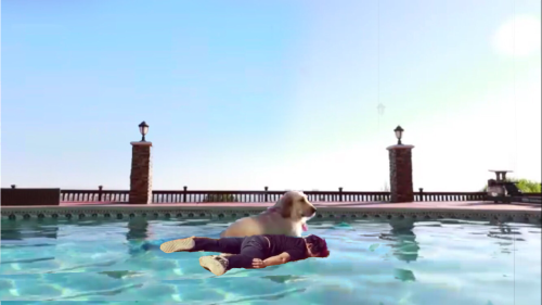 sereniplier:  Boat Mark   (I love you so much @caustic-synishade your memes are gr8) 