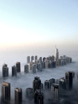 vrbvn:  thevuas:  Dubai, Morning Fog [via]  x 