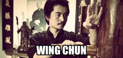 rootsofcombat2:  Brief guide to kung styles Wing Chun-a close