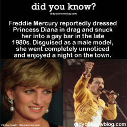 queen-alpha-male:  did-you-kno:  Freddie Mercury reportedly dressed