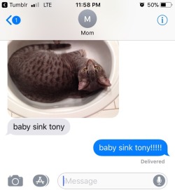 locust-god: baby fucking sink tony!!!!!