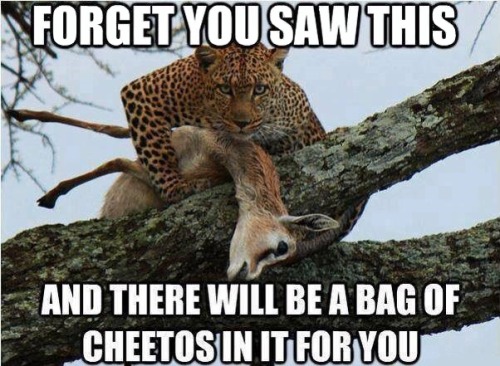 Make it two bags and it’s a deal