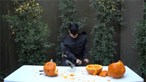dork-iplier:  Smashing poor innocent pumpkins