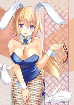 akira-europe:  animal ears bunny ears bunny girl cccpo charlotte