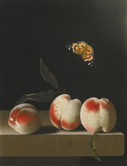 dappledwithshadow:  Three Peaches on a Stone Ledge with a Red