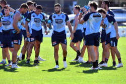 roscoe66:James Tedesco of the NSW Blues