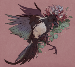 godzillabreath:  korean magpie and clover flower, commission