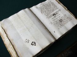 libraryoftheancients:  openinkstand:  Inky paw prints presumably