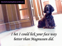 â€œI bet I could lick your face way better than Magnussen