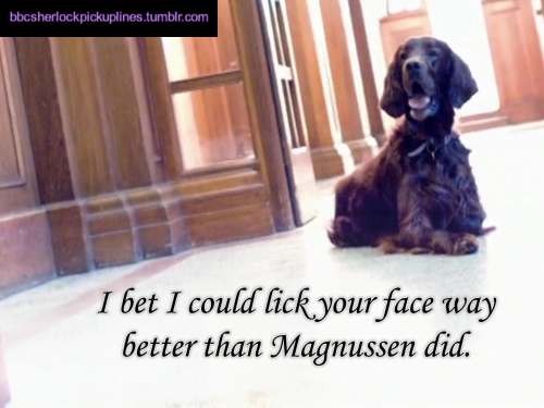 bbcsherlockpickuplines:  â€œI bet I could lick your face way better than Magnussen did.â€ 