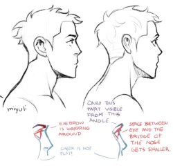 miyuliart: Some drawing tips previously posted on twitter.More