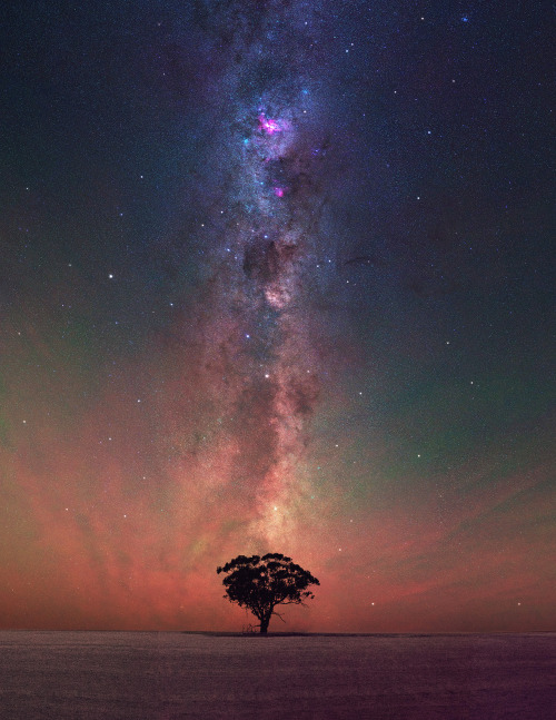 inefekt:    Summer Milky Way at Beverley, Western AustraliaNikon
