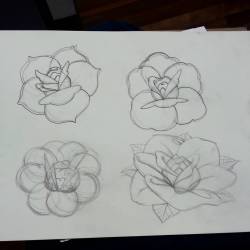 Working on more quasi traditional roses. #ink #roses #artistsoninstagram