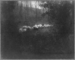 uncertaintimes:  Edward Steichen, Pastoral—Moonlight, 1907