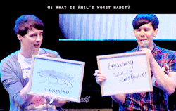 napkincole:  Dan and Phil playing the Newlywed Game Best Friend