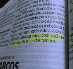 um auê aos lunáticos