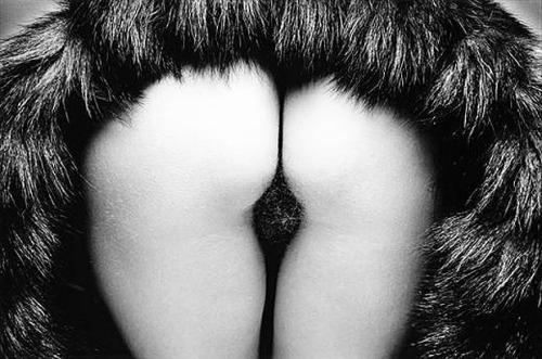 denicedenice:  Jeanloup Sieff