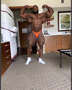 Akim Williams - 3 days out from Arnold 2019.