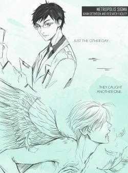 keyade: The YOI Avian AU I’ve been working on for a while!