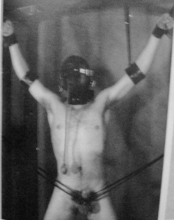 torture-porn.tumblr.com/post/37610468990/