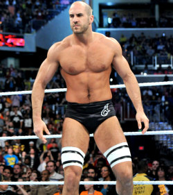 fishbulbsuplex:  Cesaro