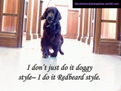 &ldquo;I don&rsquo;t just do it doggy style&ndash; I do it Redbeard style.&rdquo;