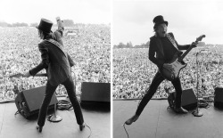 older-soul:Tom Petty and the Heartbreakers, Knebworth, 1978