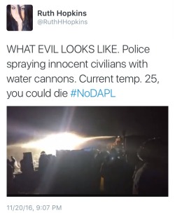 ndndoll:    400 DAPL protesters ‘trapped on bridge’ as police