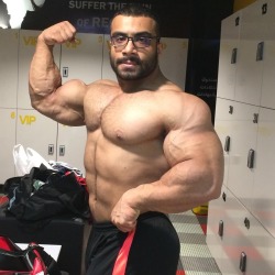 ARAB AND MIDDLE EASTERN MUSCLE