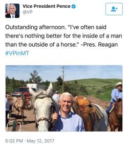 thelarkascends: mojave-wasteland-official: No, Mike Pence got