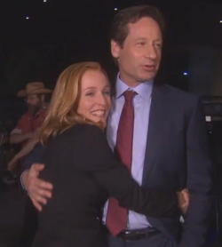 laularlau8:  Gillian Anderson on working with David after all