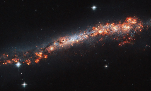 space-pics:  Hubble Traces a Galaxy’s Outer Reaches by NASA