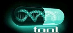 TOOL