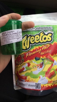 empire420:  Has anyone else had these Cheetos or should I say