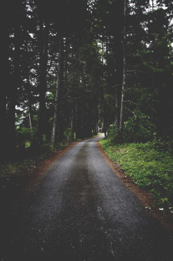 deeplovephotography:  come with me  instagram | flickr | facebook