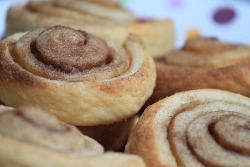 im-horngry:  Cinnamon Sugar Treats - As Requested!Cinnamon Roll